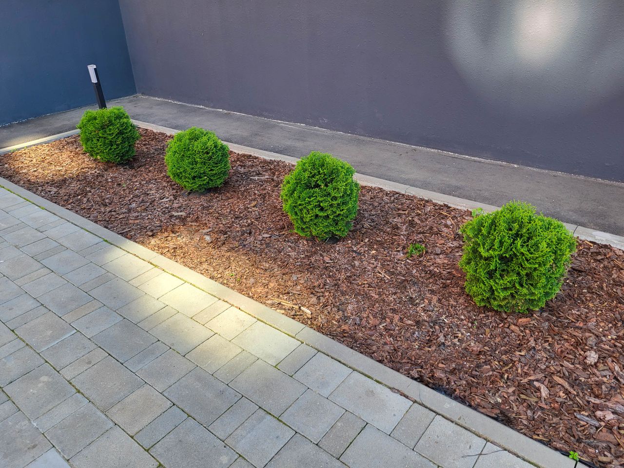 bed preparation and soil amendment