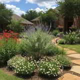 Native Austin Shrubs