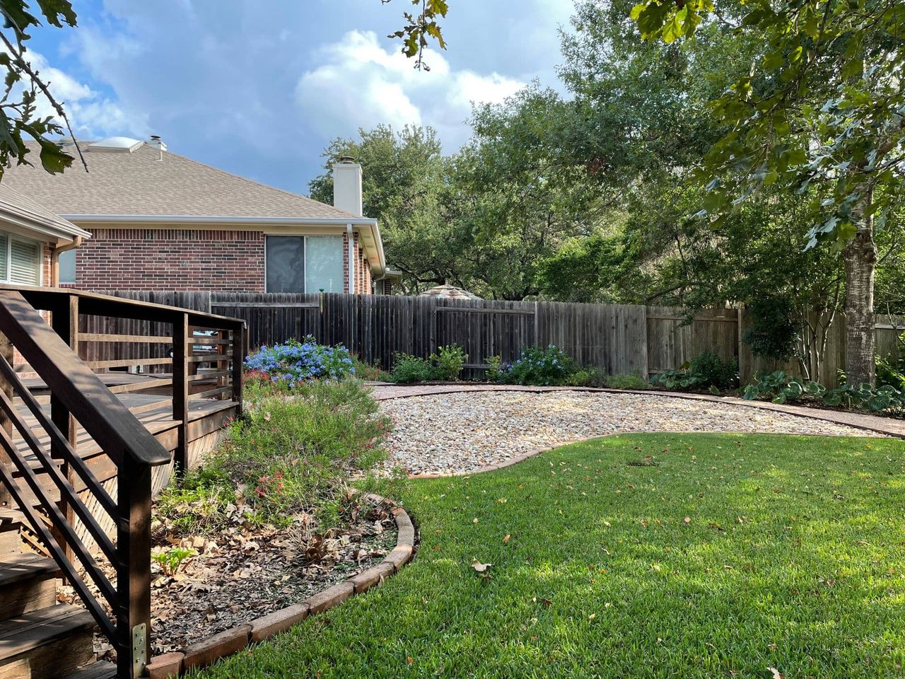 Drought-tolerant native plants for xeriscaping