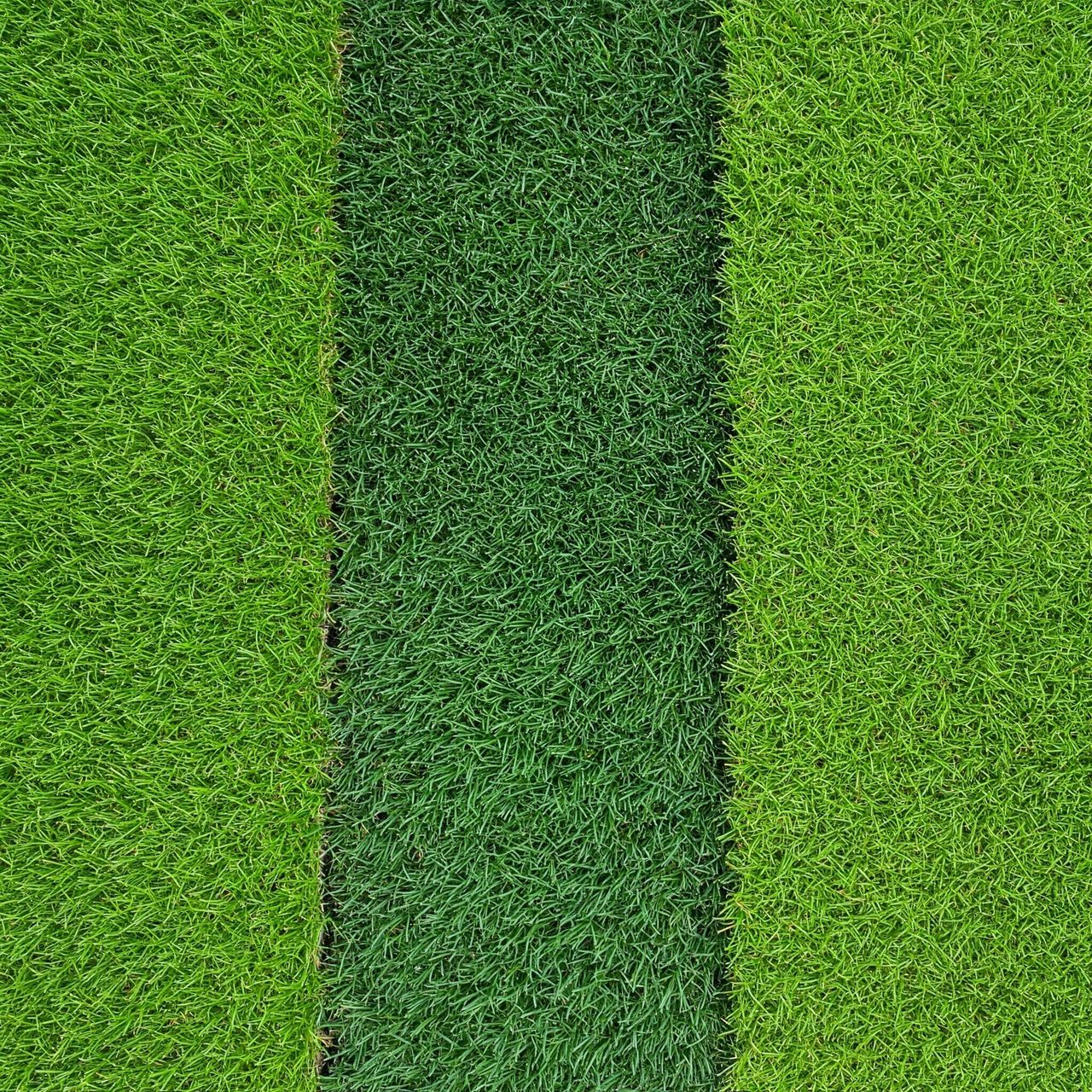 Sod selection and sourcing for Austin residential lawn