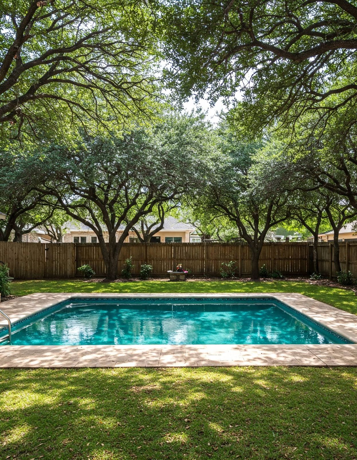 Backyard pool surrounded by mature live oak trees in Austin