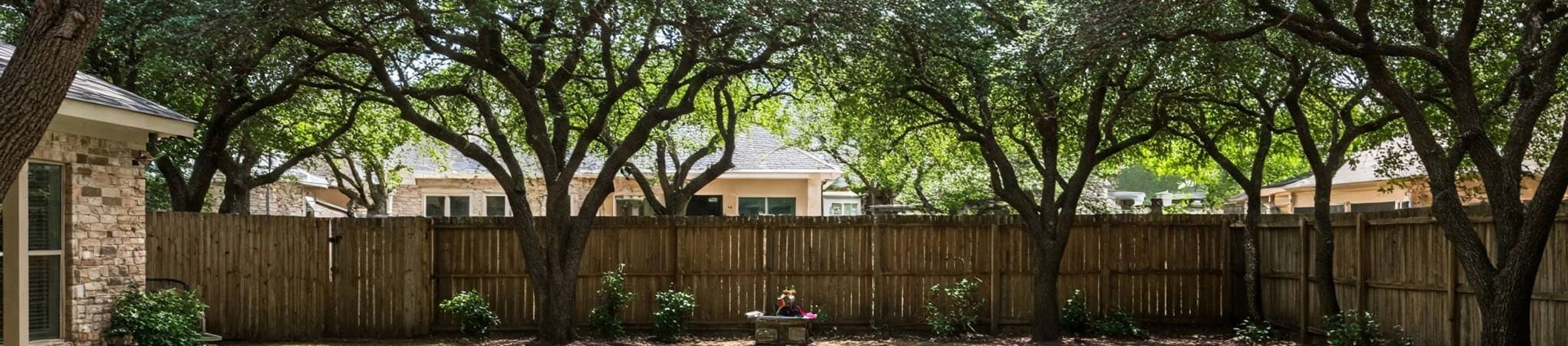 Backyard pool surrounded by mature live oak trees in Austin