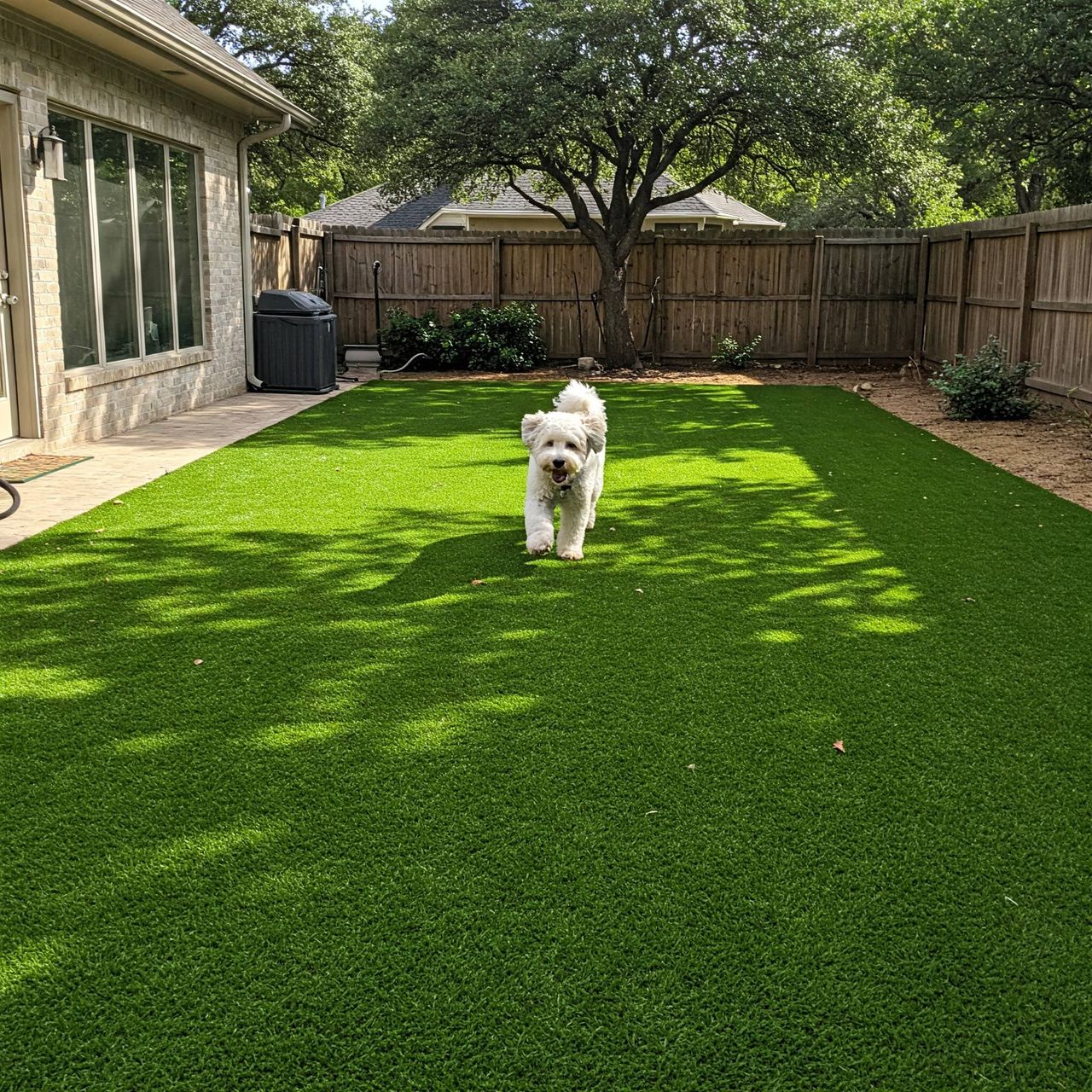 Pet-friendly turf system installed in Austin backyard
