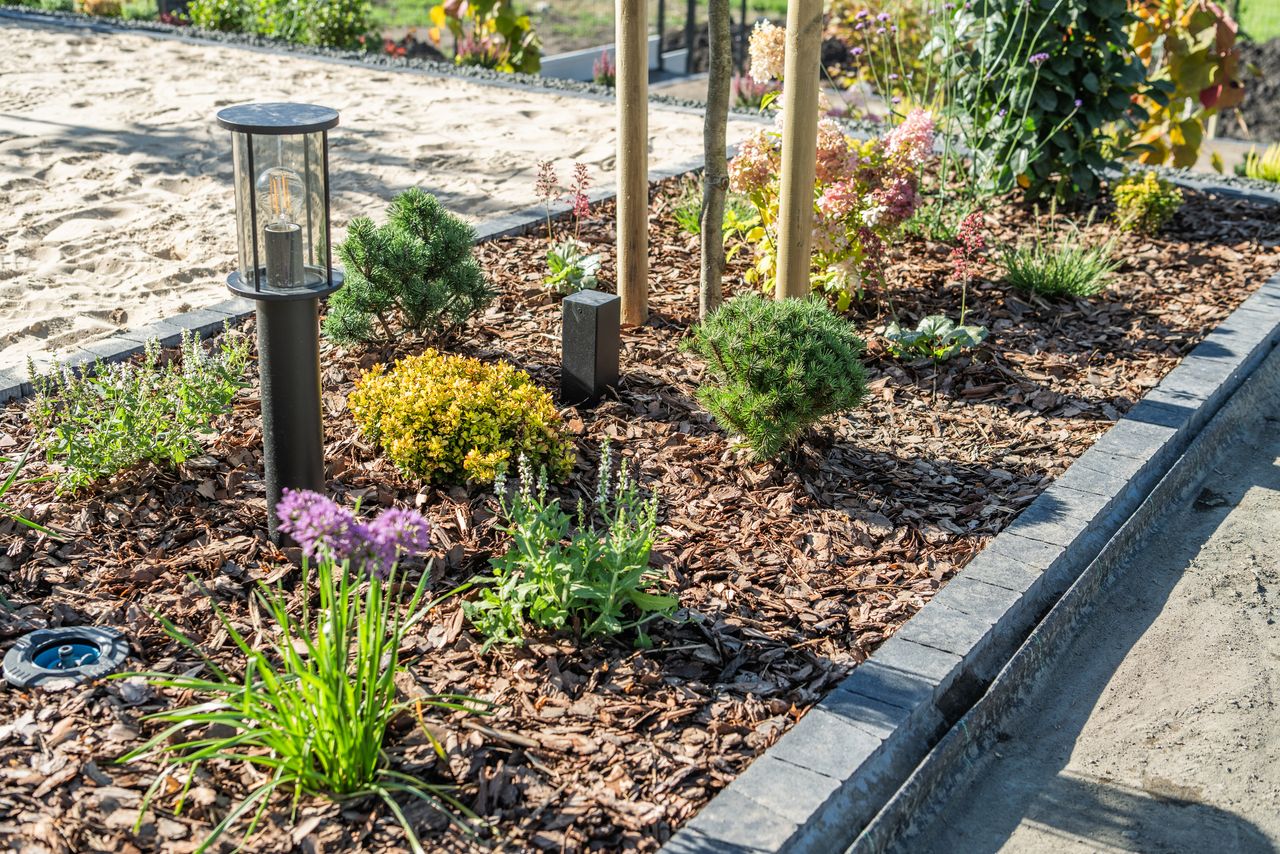 hardwood mulch in landscape bed