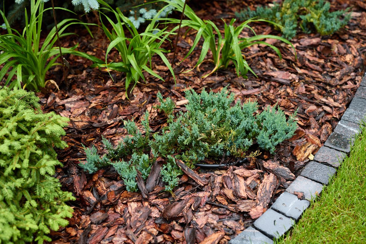 seasonal mulch refresh